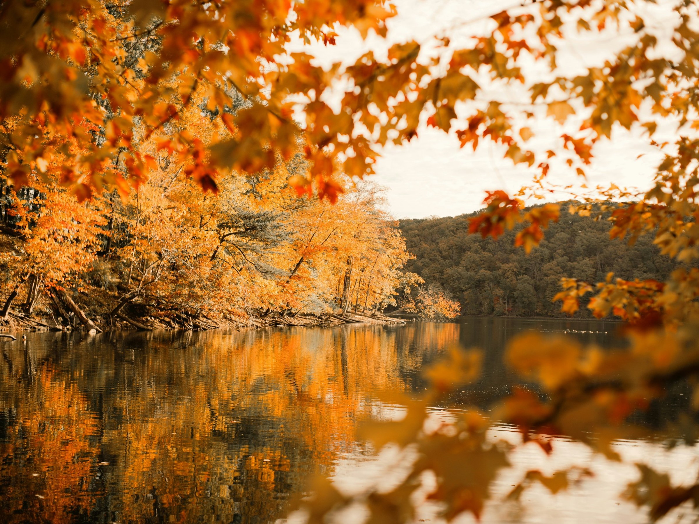 A still river reflecting orange fall trees, framed by maple leaves in the foreground