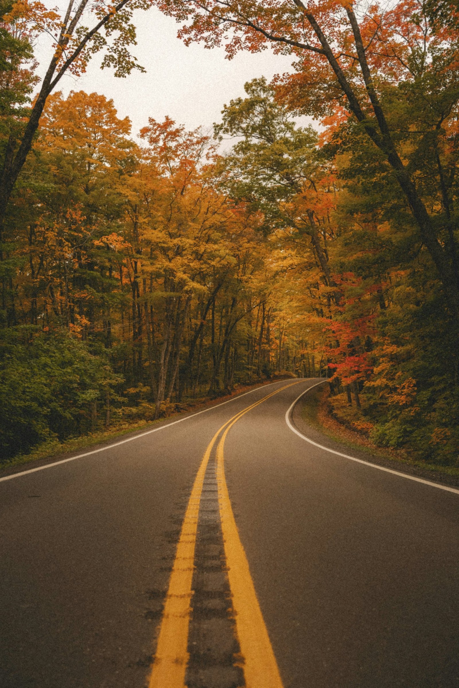Two-lane road curving through a forest in peak fall color
