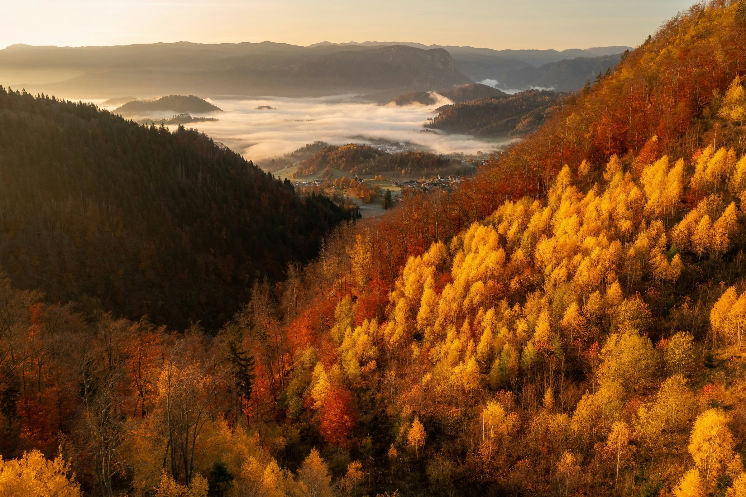 Misty valley and hillsides in peak fall color at sunrise